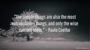... things, and only the wise can see them.” – Paulo Coelho
