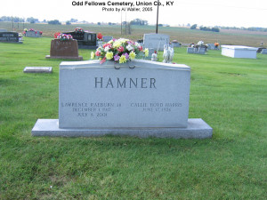 earl hamner jr death