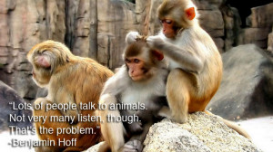 Be kind to animals...