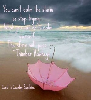 Storm quote via Carol's Country Sunshine on Facebook
