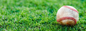 Baseball in Grass Facebook Cover Preview
