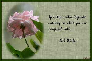 inspirations, hobbies, passtime & stuff