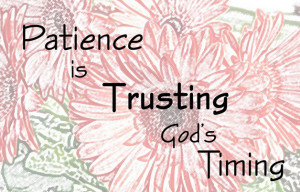 Bible Verse OTD: Patience