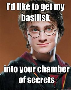 Arousing Harry Potter