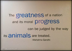 Isn't this a great quote to be on a vet's walls?