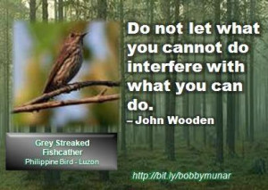 Do not let what you cannot do interfere with what you can do ...