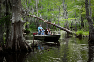 Swamp - Picture of Cajun Encounters, New Orleans