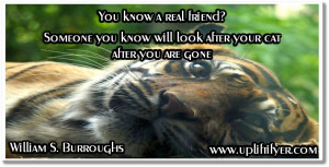Friendship_quotes_william_s_burroughs http://www.upliftifyer.com ...