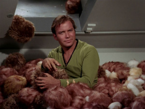 15 The Trouble With Tribbles