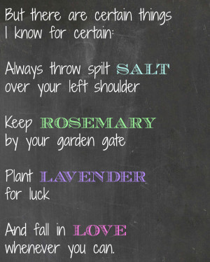 Practical Magic Quotes Fall In Love Whenever You Can Fall in love ...