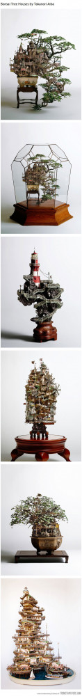 Funny photos funny Bonsai tree house art