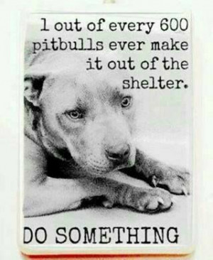 Please Help Save Them!