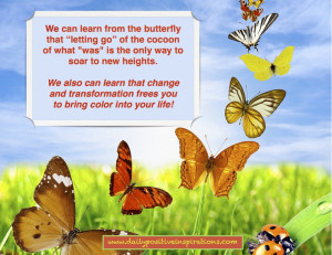 of the cocoon of what 