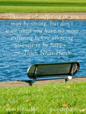 Suffering and happiness quotes by thich nhat hanh the seed of ...