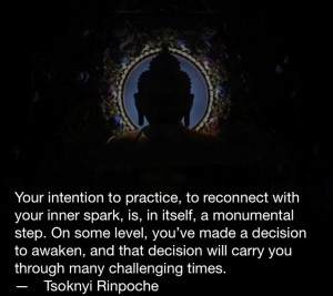 Tsoknyi Rinpoche quote