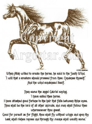 Arabian Horse art on t-shirts, sweatshirts, Arab art prints, note ...