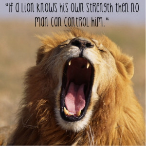 30+ Lion Pictures Quotes