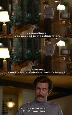 ... Ron Burgundy Quotes, Wheels, Baxter, Humor, Favoritequot Funny