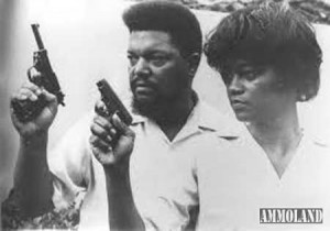 Civil Rights Leaders Robert and Mable Robinson Williams AmmoLand Gun ...