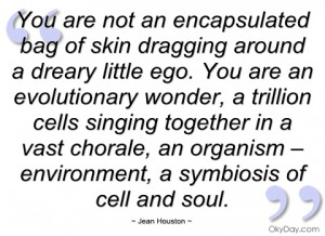 you are not an encapsulated bag of skin jean houston