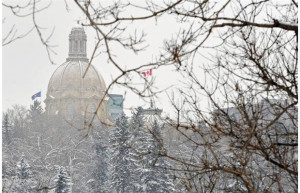 Alberta MLAs give it the old college try, pulling an all-nighter