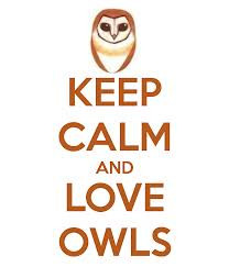 Keep calm and love owl quotes