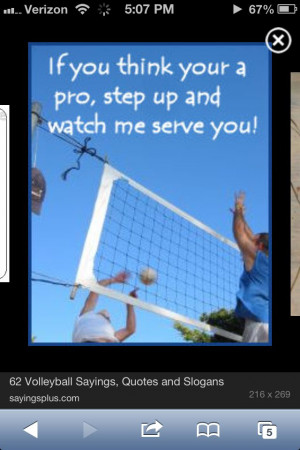 Top Volleyball Quotes