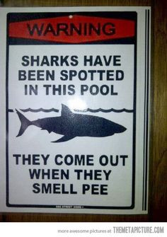 How to keep a swimming pool clean… totally need this for steve and ...