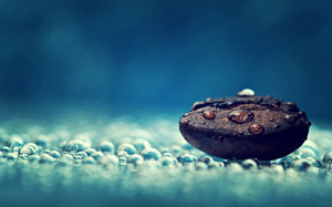 Rain Coffee Photography Water Drops Macro Seeds Dew Wallpaper