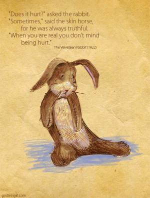promise I’m not emo. I simply adore The Velveteen Rabbit . Thanks ...