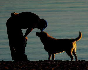 What if I loved him like his dog did? What if I could fill that void ...