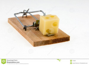 Mouse Trap Cheese
