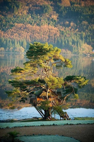 Found on memory-bazaar.tumblr.com