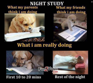 study guide funny images which are very hilarious and these study ...