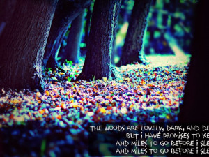 Into the Woods Quotes Image Gallery