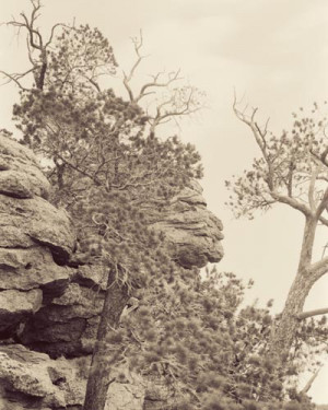 James SOE NYUN: “Old Maid,” Chiricahua National Monument, Arizona ...