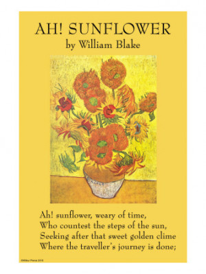 William Blake’s Ah! Sun-Flower: Poem Analysis