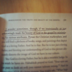 Radical. David Platt.