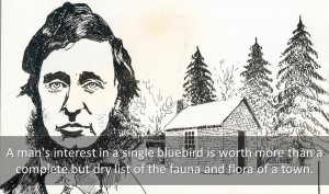 David Thoreau Quotes. Here you will find famous quotes and quotations ...