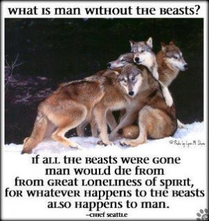 ... whatever happens to the beasts, also happens to man. --Chief Seattle