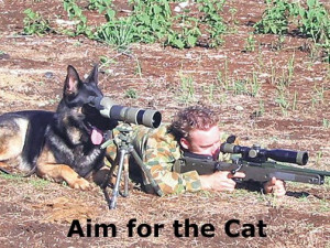 Military Dog Picture of the Week. (April 4th, 2012)
