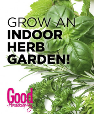 An indoor garden of fresh herbs can make all the difference to your ...
