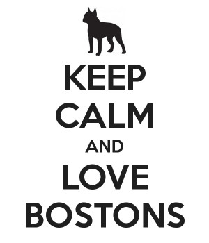 Keep Calm and Love Bostons