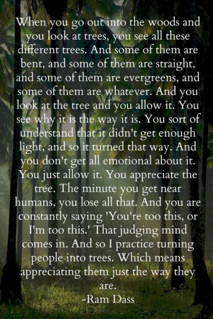 We can learn a lot from trees. Let's challenge some preconceptions