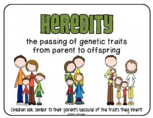 HEREDITY - Visual Vocabulary Cards Heredity and Genetic TraitsCards ...