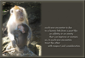 Quotes Treat People Respect http://www.pic2fly.com/Quotes+Treat+People ...