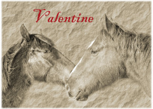 Valentine S Day Edition Of Horses Seeking Relationships Horse ...
