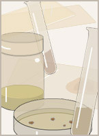 Robert Koch, Nobel Laureate, 1905.