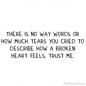 ... Much Tears You Cried To Describe How A Broken Heart Feels, Trust Me