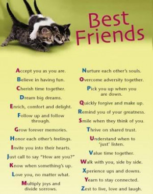 35 Ideal Best Friend Quotes